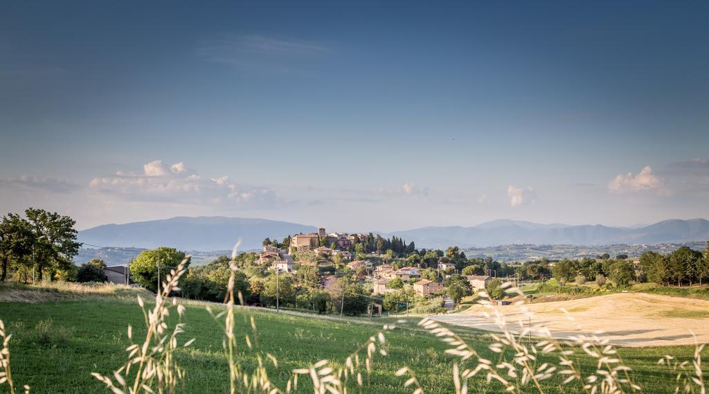 Bed and Breakfast Domus In Castro à Montecchio  Extérieur photo